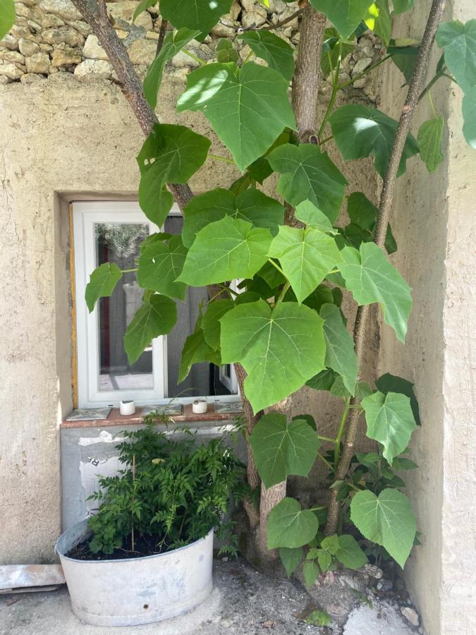 Lou Mut Villa Lectoure Exterior photo